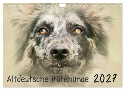 Produktbild von Altdeutsche Hütehunde 2027 (Wandkalender 2027 DIN A4 quer), CALVENDO Monatskalender