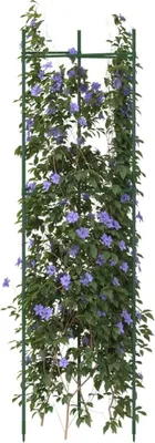Produktbild von "2026 Promotion" Tomatenkäfig 2 Stk. - Blumenkasten - 116 cm - Stahl und PP - Beete CC23464