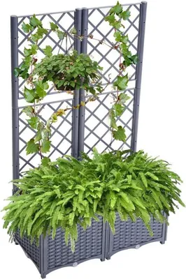 Produktbild von Mingone Rankkasten Hochbeet mit Rankgitter Graublau 80x40x136cm