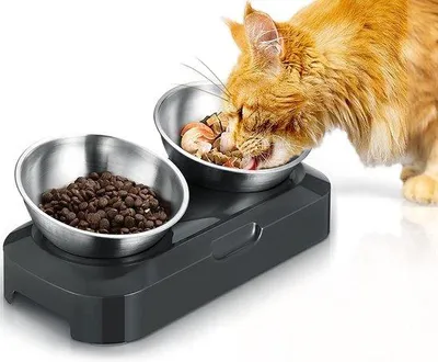 Produktbild von Famanu Katzentoilette aus Edelstahl - Verstellbare Futterhöhe, Antislip