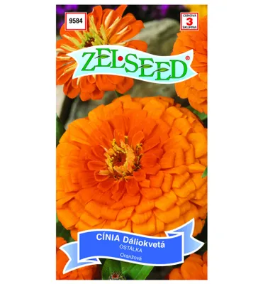 Produktbild von Samen - ZINNIE orange