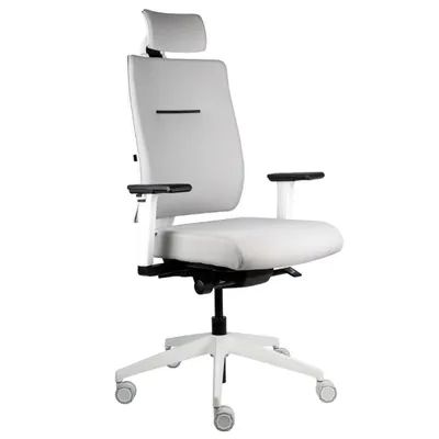 Produktbild von Viasit Toleo, ergonomischer Bürostuhl, bis zu 150kg belastbar