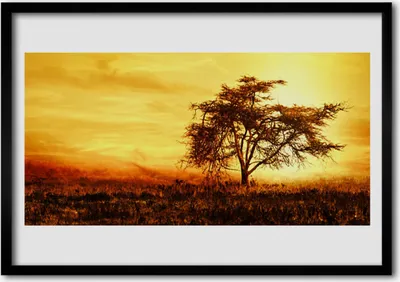 Produktbild von Bild 70x50 MDF-Rahmen Wandkunst Baum Natur