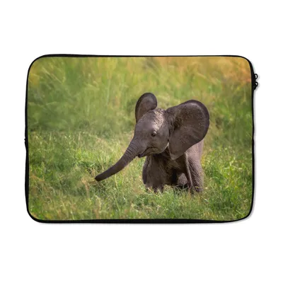 Produktbild von MuchoWow® Laptop Hülle 14 ZollElefant - Baby - Kalb Laptoptasche - Laptoptasche - Stoßsicher - Schutzhaube