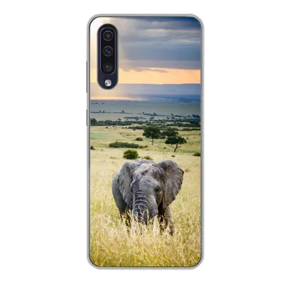 Produktbild von MuchoWow® Handyhülle Schutzhülle Hülle für Samsung Galaxy A50 Elefant - Tiere - Landschaft - Sonne - Natur Silikon Softcase Handy Hülle - Mobiltelefonhülle