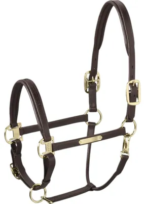 Produktbild von Eskadron Basic Leather Elegance Halfter