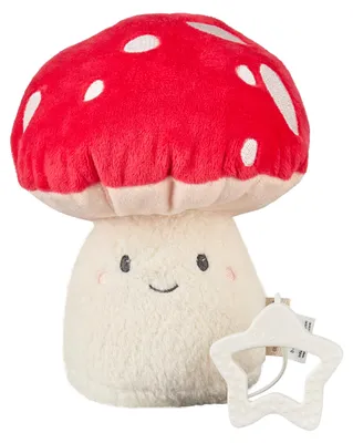 Produktbild von Sterntaler Spieluhr M Fliegenpilz