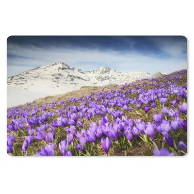 Produktbild von MuchoWow® Schreibtischunterlage Berge - Schnee - Blumenwiese 60x40 cm - XXL Mauspad - Großes Mauspad