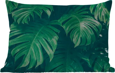 Produktbild von MuchoWow® Outdoor Kissen - Monstera - Blätter - Pflanzen - Dschungel - Natur - 60x40 cm - Wetterfest - Lounge Kissen - Zierkissen - Kissen für Innenräume