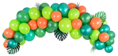 Immagine prodotto di Ghirlanda di palloncini tropicale 200 cm