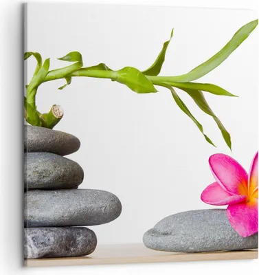 Produktbild von Bild auf Leinwand - Leinwandbild - Ruhig blume dekoration stein - 50x50cm - Wand Bild - Wanddeko - Leinwanddruck - Bilder - Kunstdruck - Wanddekoration - Leinwand bilder - Wandkunst - AC50x50-2305