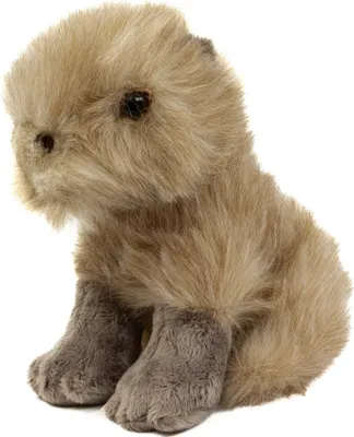 Produktbild von Kuscheltier Capybara Wasserschwein 18 cm