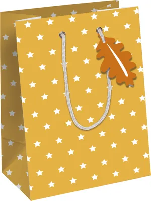 Produktbild von Clairefontaine 6x Geschenktasche M, Fuchs, 21,5x10,2x25,3 cm - Gelb X-30873-3C