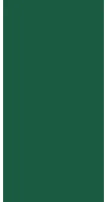 Immagine prodotto di Tovaglioli di carta Duni a 3 veli 40 x 40 cm, verde hunter 250 pezzi