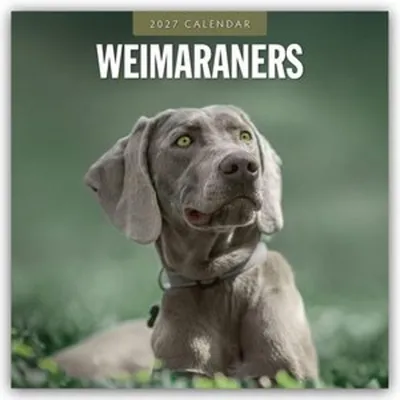 Zdjęcie produktu dla Weimaranery - Kalendarz na rok 2027 (format 16-miesięczny)