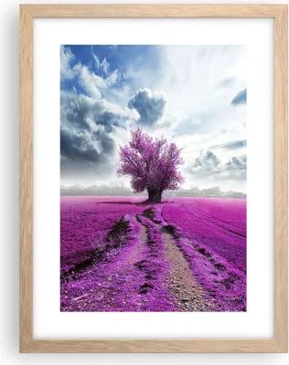 Produktbild von Gerahmtes Poster - Rahmen in heller Eiche - Heidefeld Baum Wolken Landschaft - 30x40 cm - Wand Bild - Wanddeko - Wandbilder - Wandposter - Bilderrahmen - Bilder - Kunstdruck - P2NPA30x40-2547