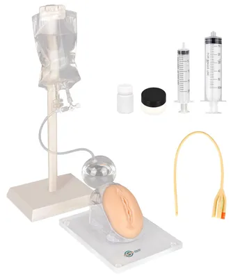 Weibliches Katheterisierungs-Simulator-Set für Medizinstudenten