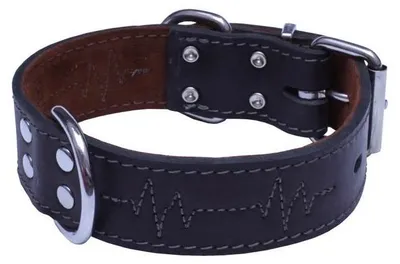 Produktbild von BAFPET LederHalsband EKG schwarz