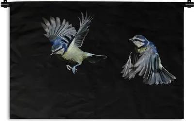 Produktbild von MuchoWow® Wandteppich Wandbehang Vögel - Federn - Schwarz 90x60 cm Tapisserie Dekoration Wandtuch - Wandskulpturen - Bildteppich