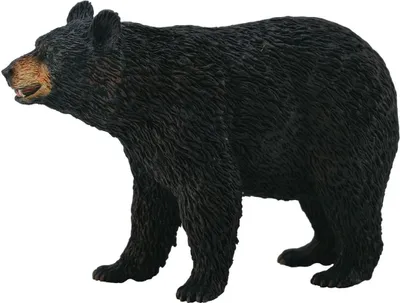 Image de Collecta - Ours noir -L- 88698 (90188698) COLECTA