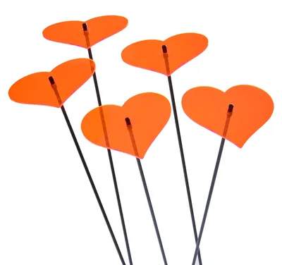 5 Acrylplatten, fluoreszierend Orange, 15x12x0,1 cm