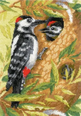 Image de Kit de broderie au fil - Pivert