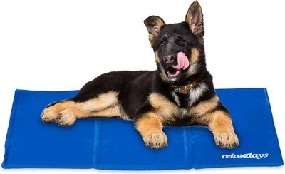 Produktbild von Famanu Kühlmatte für Hunde - 60 x 90 cm - mit Gel - waschbar - blau