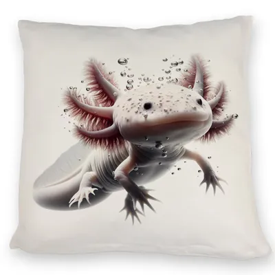 Produktbild von Axolotl Kissen