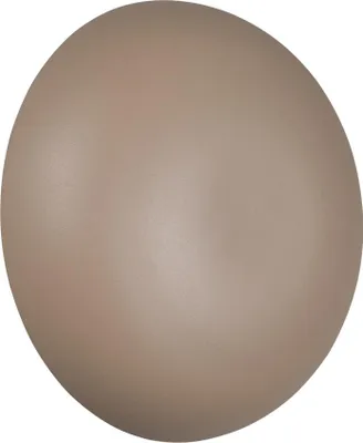 Obrázok produktu pre Nástenné svietidlo LED, teplá béžová, D 15,5 cm