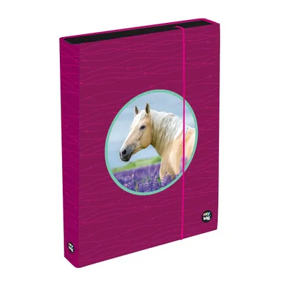 Obrázok produktu pre Oxybag A4 Jumbo Box na zošity - OXY Sherpy Pink