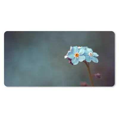 Produktbild von MuchoWow® Mauspad Mousepad Kleines Vergissmeinnicht 60x30 cm - Mousepads - Maus Mat - Pad - Mausunterlage - Nachhaltig