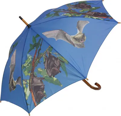 Produktbild von Regenschirm Fledermäuse, Automatikschirm Stockschirm Schirm Schirme Fledermaus Tiere