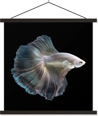 Produktbild von MuchoWow® Textilposter Fisch - Schwanz - Weiß 120x120 cm mit schwarzem Rahmen - Aufhängungsset