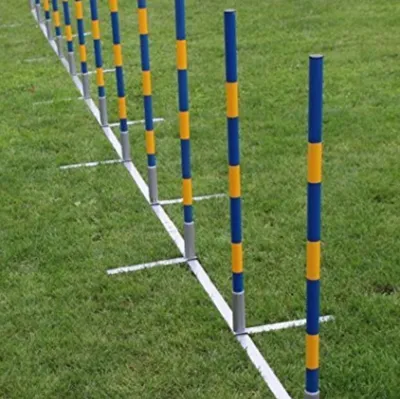 Produktbild von Agility-Slalom-Set, Stangen-Set, Profi – 12 Stangen – gerade – Slalomstangen – Slalomstangen – Hundetraining, Sport und Wettkampf – Agility und