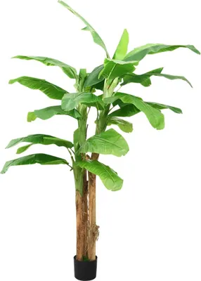 Produktbild von vidaXL Künstlicher Bananenbaum mit Topf 300 cm Grün