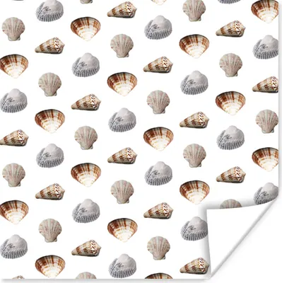 Produktbild von MuchoWow® Poster Muschel - Muster - Farben 75x75 cm - Wand Dekoration