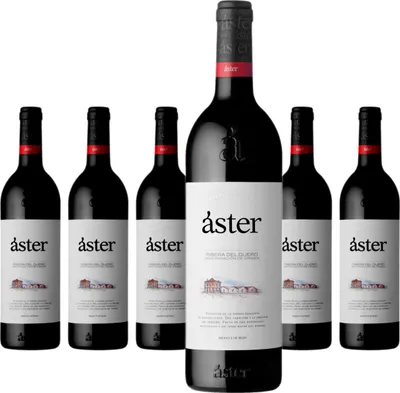 Produktbild von 6 x Áster Crianza Tempranillo Ribera