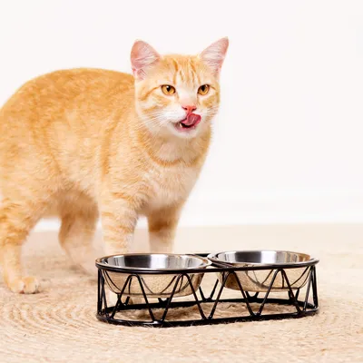 Produktbild von Navaris 2x Futternapf Katze mit Halterung - Futterstation Set Eisennapf für Katzen Hunde - Eisen Fressnapf Set Futterbar mit Edelstahl Halter