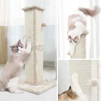 Produktbild von Hohe Katzenkratzsäule Sisal Kratzspielzeug Katze mit Ball Beige