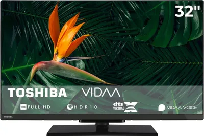 A television screen displaying a tropical flower and foliage, with brand logos and feature callouts overlaid.