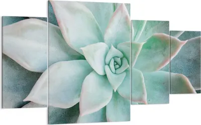 Produktbild von Bild auf Leinwand - Leinwandbild - 4 Teile - Blau Blätter Agave - 160x90cm - Wand Bild - Wanddeko - Wandbilder - Leinwanddruck - Bilder - Wanddekoration - Leinwand bilder - Wandbild - DL160x90-4628