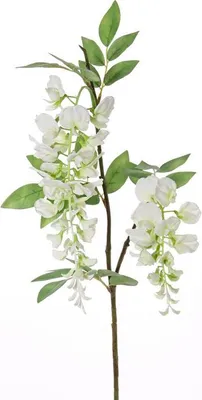 Produktbild von artplants.de Deko Zweig Blauregen Blume NEZUMI mit Blüten, weiß, 105cm - Deko Wisteria Blumen - Kunstblumen