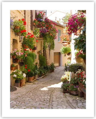 Produktbild von Poster - Poster ohne Rahmen - Blume Straße Haus - 40x50 cm - Wand Bild - Wanddeko - Wandbilder - Kunstposter - Wandposter - Bilder - Kunstdruck - Wanddekoration - Wandbild - P2XPA40x50-3586