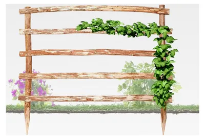Produktbild von Natürliche Rankhilfe aus Holz · 33 Größen verfügbar · Höhe 150 x Breite 50 cm · Garten-Rankgitter für Kletterpflanzen · Freistehendes Spalier