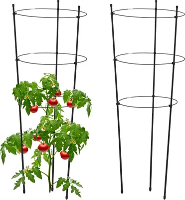 Immagine prodotto di Set da 2 supporti per rampicanti Relaxdays, metallo e plastica, altezza 76 cm, 3 anelli regolabili, supporto per piante rampicanti, nero