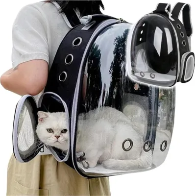 A person is wearing a transparent pet carrier backpack with a white cat inside.