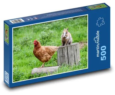 Obrázok produktu pre Puzzle 500 Stretnutie sliepky a králika - martinpuzzle