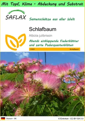 Produktbild von SAFLAX Garden to go - Schlafbaum - Albizia julibrissin - 50 Samen - Mit Topf, Klima - Deckel und Anzuchtsubstrat