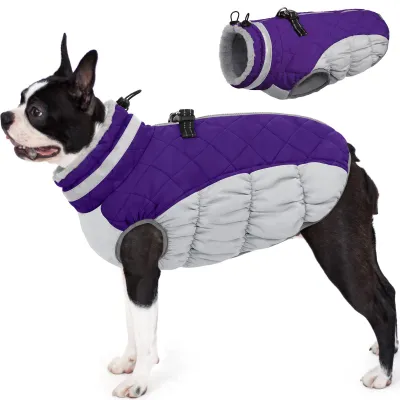 Produktbild von AOFITEE Hundejacke Kleine Hunde, Wasserdicht Hunde Wintermantel Warm Hundemantel
