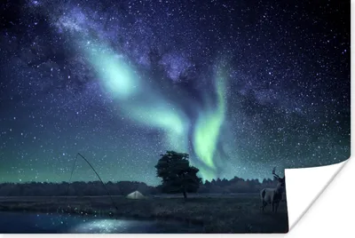 Produktbild von MuchoWow® Poster Nordlichter - Sternenhimmel - Nacht - Hirsche 120x80 cm - Bilder